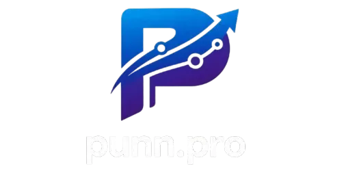 punn.pro